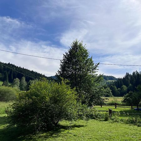 Drewniany Domek Bb Nad Rzeka Powroznik Экстерьер фото