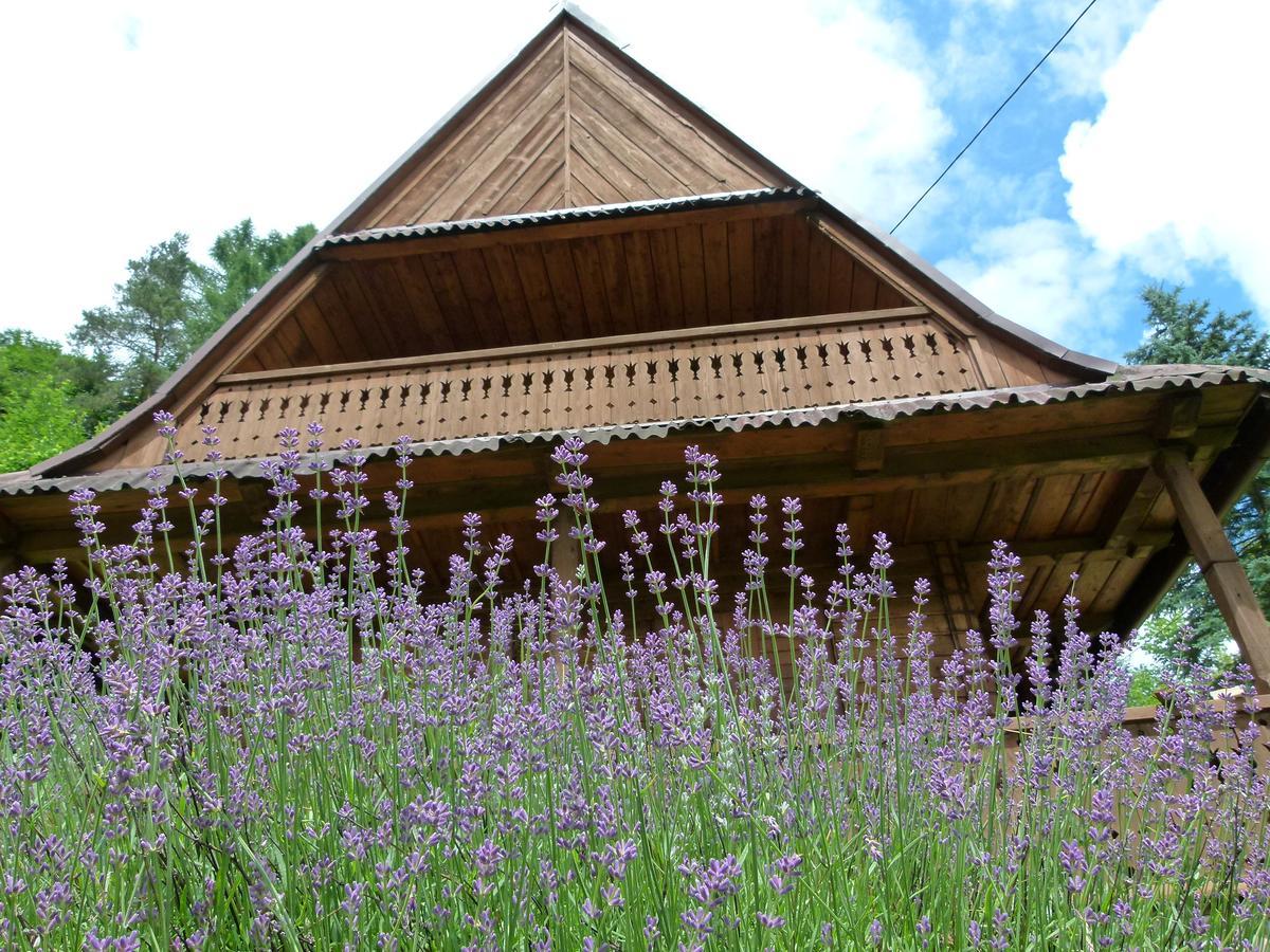 Drewniany Domek Bb Nad Rzeka Powroznik Экстерьер фото